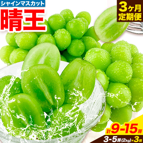 ぶどう 3ヶ月 定期便 [2025年先行予約] シャインマスカット 晴王 3-5房 約2kg 岡山県産《9月上旬-1１月末頃出荷(土日祝除く)》 ハレノフルーツ マスカット 送料無料 岡山県 浅口市 フルーツ 果物 贈り物 ギフト 国産 岡山県産 くだもの【配送不可地域あり】