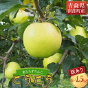 【ふるさと納税】 《家庭用》 葉とらずりんご こうこう 約4.5kg 【四戸農園】 減農薬 有機肥料 青森りんご リンゴ 林檎 アップル あおもり 青森 青森県 南部町 果物 くだもの フルーツ 訳あり 訳アリ わけあり 規格外 F21U-369