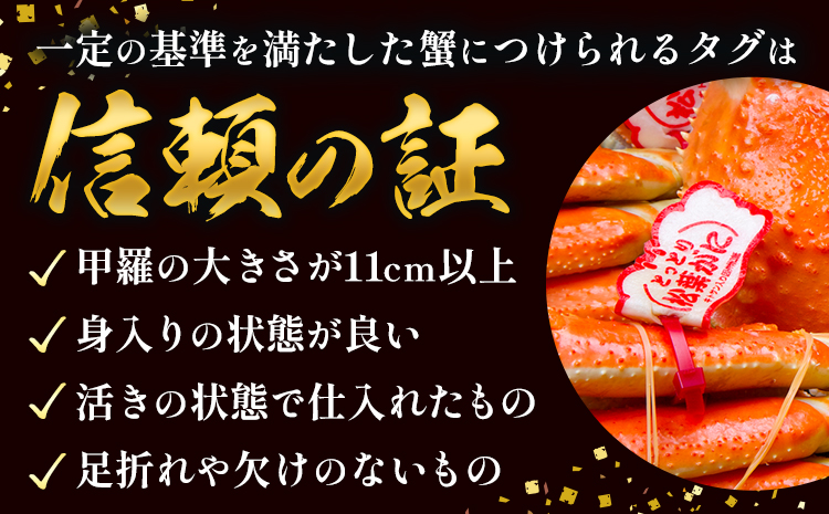 かに タグ付き 松葉ガニ 約800g 以上 ボイル 《11月上旬-4月中旬頃出荷》お魚センターみくりや 鳥取県 八頭町 蟹 かに カニ 鍋 松葉ガニ ボイル 送料無料　海鮮