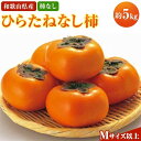 【ふるさと納税】【ご家庭用】和歌山県産 平核無柿 約5kg 【2024年10月上旬～11月上旬順次発送】【MG68】 | 和歌山県 印南町 取り寄せ グルメ フルーツ 果物 くだもの 柿 カキ かき 家庭用 自宅用 国産 おいしい 美味しい