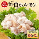 【ふるさと納税】 【定期便12回】熊本あか牛 白ホルモン 500g (250g×2)×12回 【 合計 6Kg 】 冷凍真空パック 【 熊本 熊本県産 あか牛 冷凍 真空 もつ鍋 ホルモン 焼き肉 】 041-0163