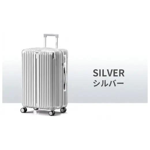 スーツケース Sサイズ シルバー キャリーバッグ  キャリーケース スーツケース 拡張機能付き スーツケース キャスター 着脱 キャスター交換可能 ダブルキャスター 360度回転 TSAロック 2重コイルファスナー 機内持ち込み可能
