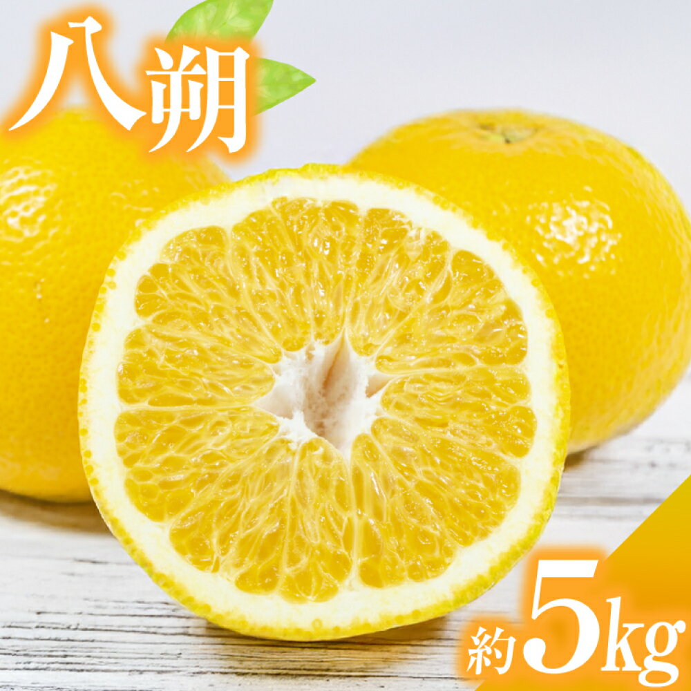 【ふるさと納税】先行予約 八朔（はっさく）約5kg（3L～M）みかん ミカン 蜜柑 柑橘 果物 くだもの フルーツ 5キロ 国産 九州 長崎県 長崎市 送料無料【2026年3月上旬～4月上旬発送予定】
