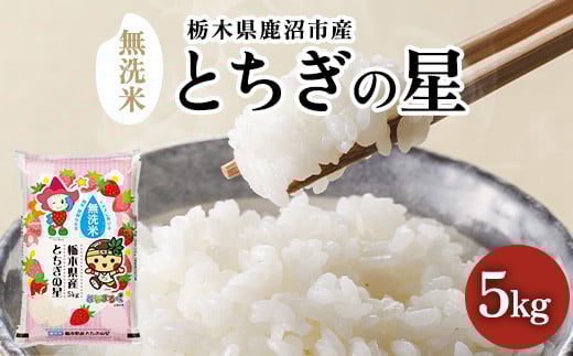 
            【数量限定】【選べる産年】栃木県鹿沼市産 とちぎの星 無洗米 5kg 令和6年産 令和7年産【先行予約】| 水稲うるち精米 単一原料米 お米 特A 大粒 甘さ ※沖縄・離島への配送不可
          