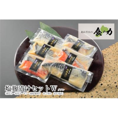 ふるさと納税 鯖江市 塩麹漬けセットダブル(銀だら・ふくいサーモン・鯖(各2切れ))