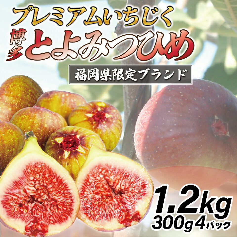 【ふるさと納税】【令和8年度産】【先行予約】福岡県産 とよみつひめ 1.2kg(300g×4パック) [M1015] 福岡県ブランドいちじく福岡県限定 果肉 上品 甘い なめらか食感 糖度17度 フルーツ 果物