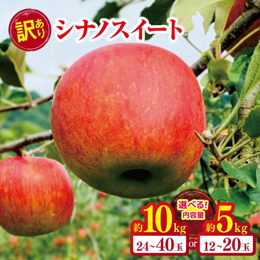 【ふるさと納税】 *【2025年先行予約】やまし平林農園 訳あり シナノスイート 約5kg / 約10kg ｜ リンゴ りんご 林檎 果物 フルーツ 果実 果汁 シナノスイート しなのすいーと 家庭用 わけあり 訳アリ 長野県 松川村 信州