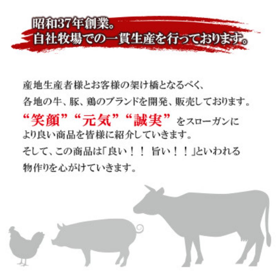 ＜さつま屋産業＞関門ポーク　ロースステーキ100ｇ×4枚