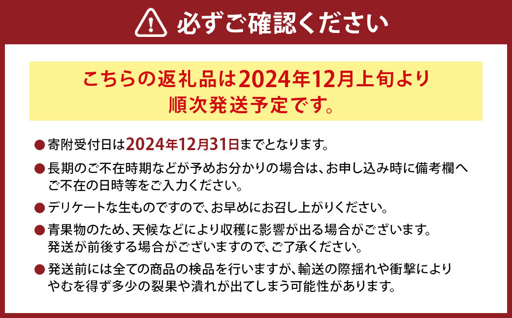 【2024年12月上旬発送開始】にしだ果樹園の熊本県産月読み果実グラデーションボックス(6品種)