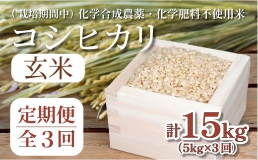 【令和7年産新米】玄米 定期便 3回  米 コシヒカリ 計15kg 5kg × 3回 お米 おこめ こめ ごはん 国産 白飯 ご飯 TKG 卵かけご飯 おにぎり おむすび 新生活 ふるさと ランキング 栄養 健康 安全 化学合成農薬不使用  いのち育む田んぼ米 生物多様性 送料無料 【北海道･東北･沖縄･離島への配送不可】 徳島県 小松島市