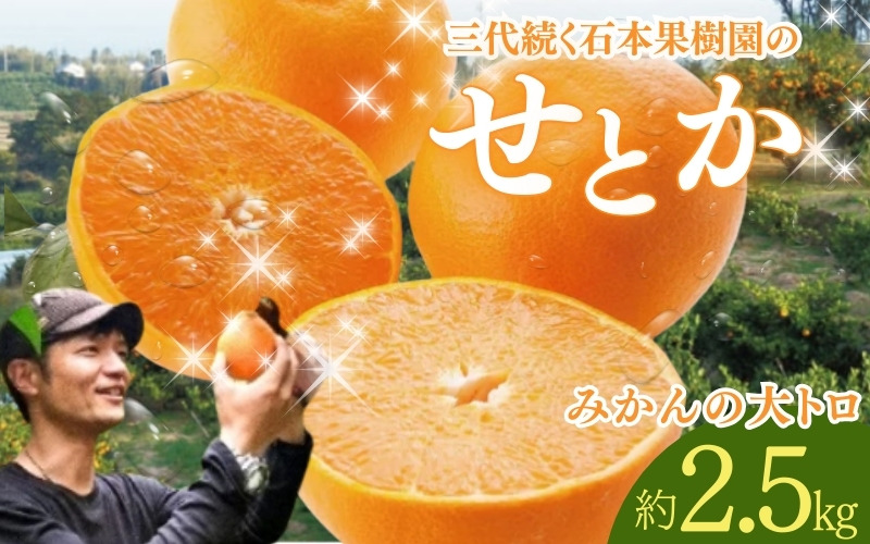【先行予約】石本果樹園の美味しいせとか 約2.5kg 約9～15玉前後【2027年2月中旬から3月中旬までに順次発送予定】 / みかん フルーツ くだもの 果物 せとか 大トロ トロ【min004A】