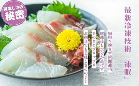 瀬戸内 天然真鯛 丸ごと姿(うろこ・内臓除去済) 2～3匹入り 合計1kg｜たい タイ 鯛 真鯛 急速冷凍 下処理済み 刺身 焼き魚 塩焼き カルパッチョ【お正月 おせち お食い初め 百日祝い 祝い事