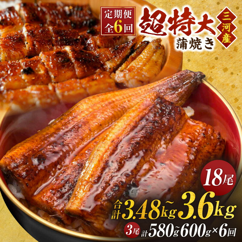【ふるさと納税】【定期便】三河産うなぎ「超特大蒲焼き3尾(合計580～600g)」×6回(隔月1回 1年間)・A192-156 うなぎ 鰻の蒲焼 蒲焼 うなぎセット 蒲焼セット おばけ蒲焼 おばけサイズ 惣菜 お惣菜 贈り物 ギフト グルメ お取り寄せグルメ 定期 隔月 愛知県 西尾市 送料無料