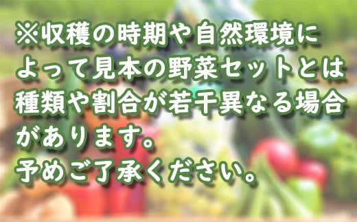 自然状況、生育状況などでお野菜の内容が変更となる場合があります