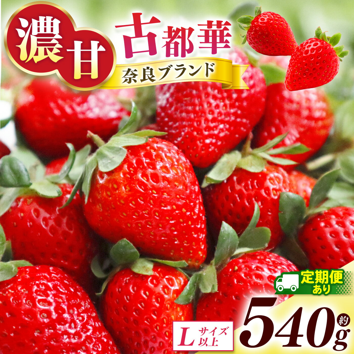 【ふるさと納税】【 定期便 2回 】 いちご 古都華 約540g （270g×2P）Lサイズ以上 | フルーツ くだもの 果物 イチゴ ことか コトカ 古都華 苺 フレッシュ 果実 新鮮 ブランド苺 ストロベリー 冷蔵 希少 逸品 品種 旬 2月 産地直送 農家直送 送料無料 西岡農園 奈良県 五條市