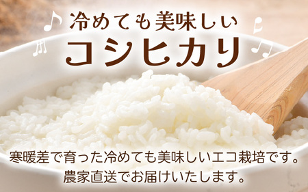 【令和7年産】定期便《6ヶ月連続お届け》ワルツ農場の直播き コシヒカリ クリーン精米（無洗米）10kg×6回 計60kg / お米 ご飯 白米 発送直前 精米 つや 艶 甘味 旨み あわら市産 福井県