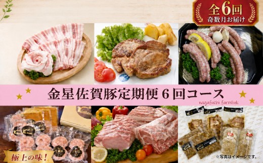 金星佐賀豚　定期便6回コース