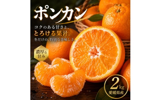【安心して選べる】 昔ながらの美味しさ 【ポンカン】 2kg 愛媛県産 【2027年1月中旬頃から順次発送】 | ぽんかん みかん ミカン mikan 蜜柑 訳ありフルーツ 柑橘 果物 おすすめ お勧め お取り寄せ ギフト 愛媛県 松山市