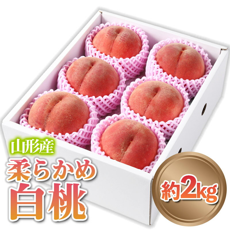 【ふるさと納税】山形産 柔らかめ 「白桃」 秀品 約2kg (5玉〜8玉) 【令和7年産先行予約】FS24-081 くだもの 果物 フルーツ 山形 山形県 山形市 2025年産