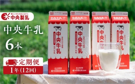 牛乳1L×6本 定期便 牛乳 中央製乳