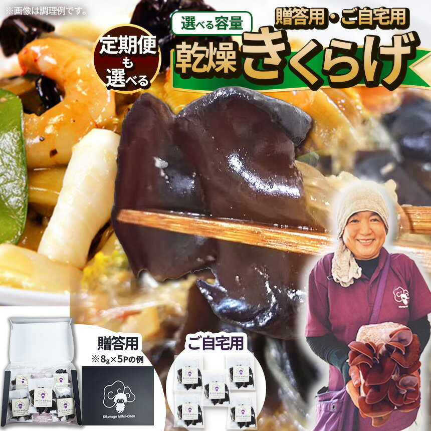 【ふるさと納税】【選べる定期便】【選べるピース数】乾燥きくらげ 贈答用乾燥きくらげ 選べるグラム数 ともちゃん農園 | 贈答用 乾燥 きくらげ 食物繊維 鉄分 カルシウム ビタミンD カリウム アミノ酸 高血圧予防 ふるさと 納税栃木県 那珂川町