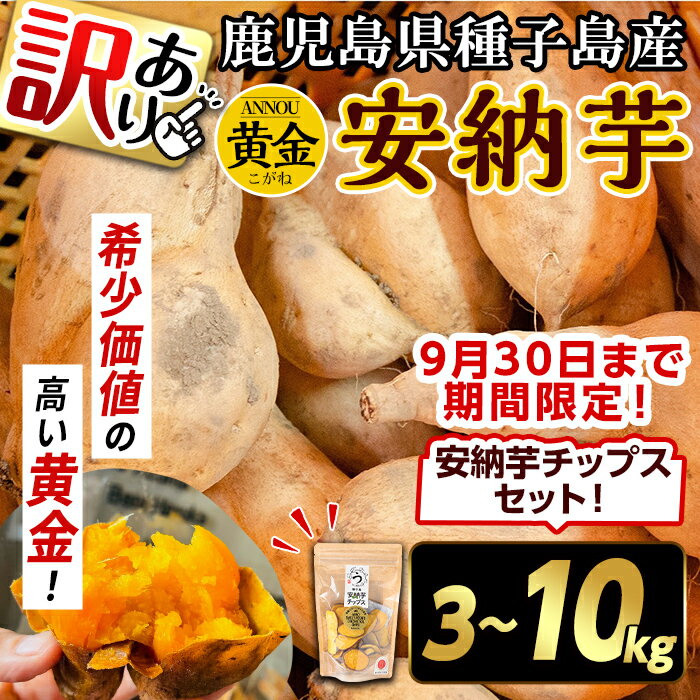 【ふるさと納税】＜期間・数量限定セット！先行予約受付中！2025年9月下旬頃から12月中の発送予定＞《訳あり》内容量が選べる！種子島産 安納芋＜黄金＞(3～10kg)＆安納芋チップス1袋セット 国産 安納芋 黄金 こがね コガネ 種子島 さつま芋 安納いも 野菜 【うずえ屋】