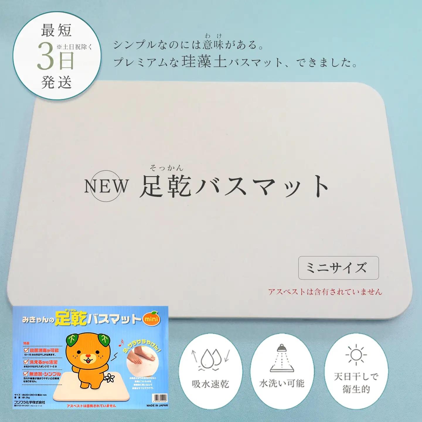 NEW 足乾（そっかん）バスマット_ミニサイズ｜ 珪藻土 マット