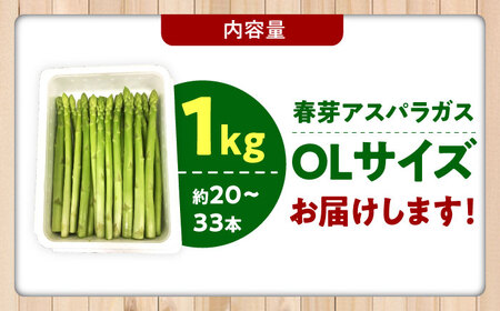 【2025年発送分先行予約】【春芽】アスパラガス 計1kg（〇Lサイズ） / アスパラ アスパラガス 野菜 新鮮 / 佐賀県 / さが風土館季楽[41AABE103]
