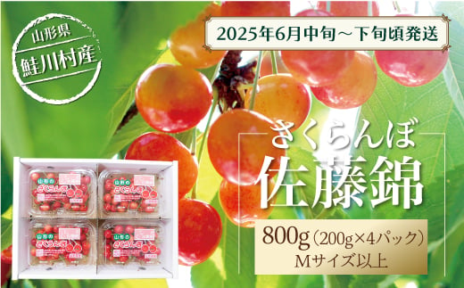 
            【令和7年産 早期受付】 鮭川村産さくらんぼ ＜佐藤錦＞ M～Lサイズ混合 フードパック800g（200g×4P）
          