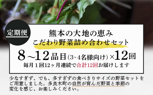 【定期便12回】熊本の大地の恵み 旬の こだわり野菜詰め合わせセット 8〜12品 （3〜4名様向け）12カ月配送 獲れたて 新鮮 野菜 セット 詰め合わせ 詰合せ 定期便 産地 直送 国産 季節 旬野