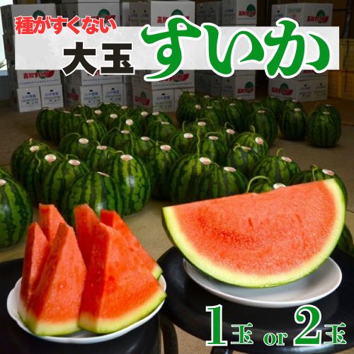 【ふるさと納税】山中農園のスイカ （1玉or2玉） 種が少ない1玉 2玉 フルーツ 産地直送 完熟 糖度 リピーター率高い 甘い 大玉 西瓜 すいか/高知県 奈半利町
