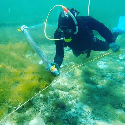 ふるさと納税 伊平屋村 【収穫時期限定!】冷凍 生もずく　8kg(500g × 16パック) |  | 02