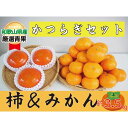 【ふるさと納税】かつらぎセット（みかん＆柿) 約3.5kg 【2025年11月中旬から2025年12月上旬発送】 | フルーツ 果物 くだもの 食品 人気 おすすめ 送料無料