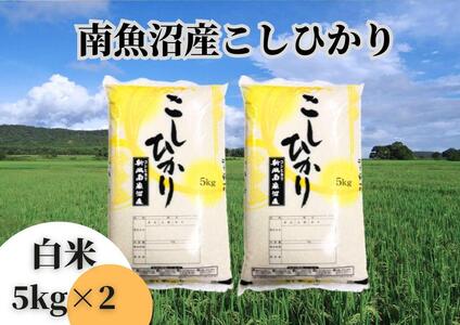 中【令和6年産 新米】【新潟県 特A地区】南魚沼産こしひかり 白米10kg（5kg×2袋）