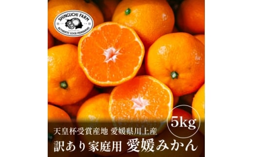 ＜天皇杯受賞産地＞愛媛県川上産 みかん5kg＜訳あり＞＜C70-37＞【1536340】