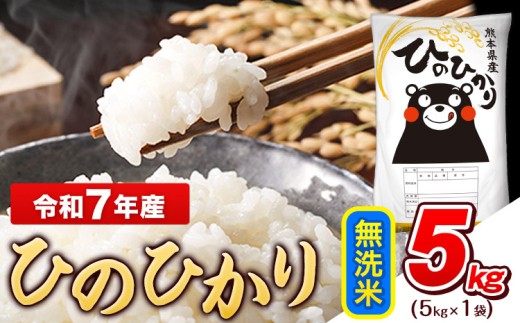 令和7年産 無洗米 ひのひかり 5kg《7-14日以内に出荷予定(土日祝除く)》  令和7年産 熊本県産 ふるさと納税 無洗米 精米 ひの 米 こめ ふるさとのうぜい ヒノヒカリ コメ お米 おこめ