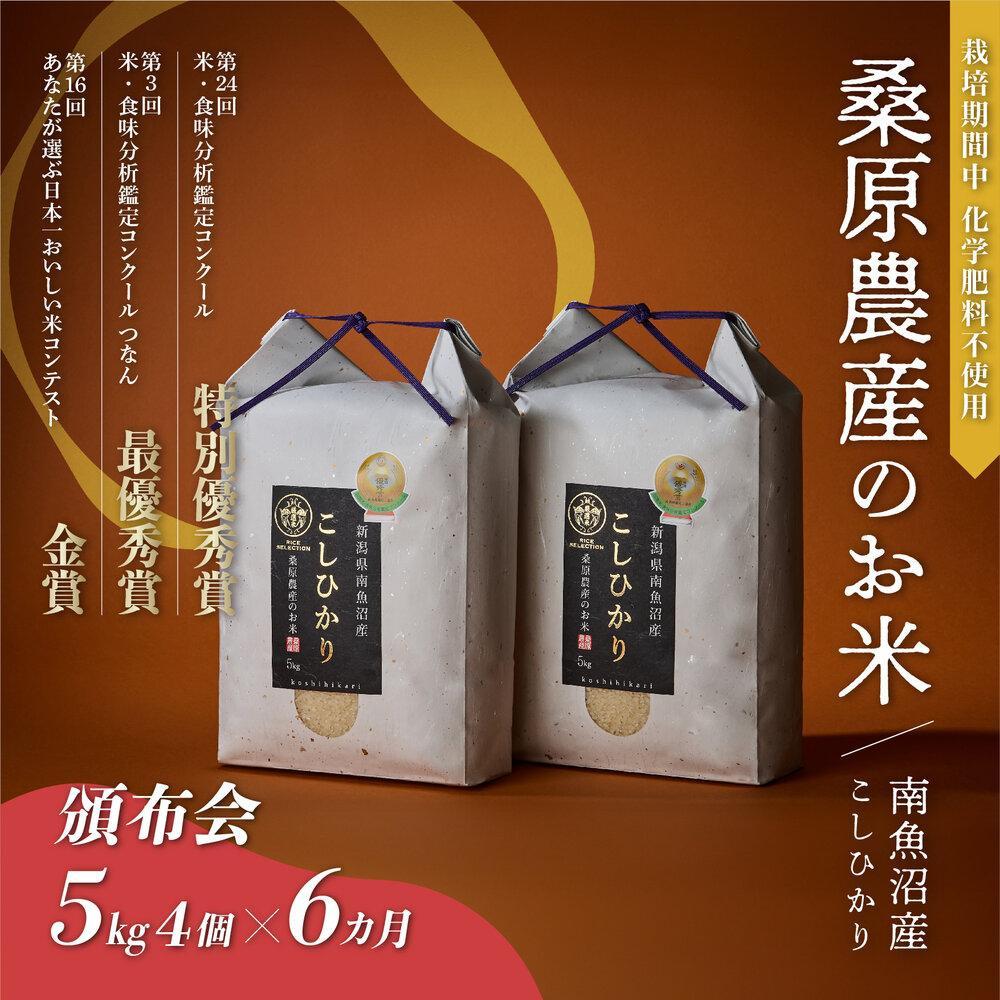 【ふるさと納税】【R7年産】米 定期便 コシヒカリ 南魚沼産 120kg ( 20kg × 6ヶ月) 桑原農産 | お米 こめ 白米 コシヒカリ 食品 人気 おすすめ 送料無料 魚沼 南魚沼 南魚沼市 新潟県産 新潟県 精米 産直