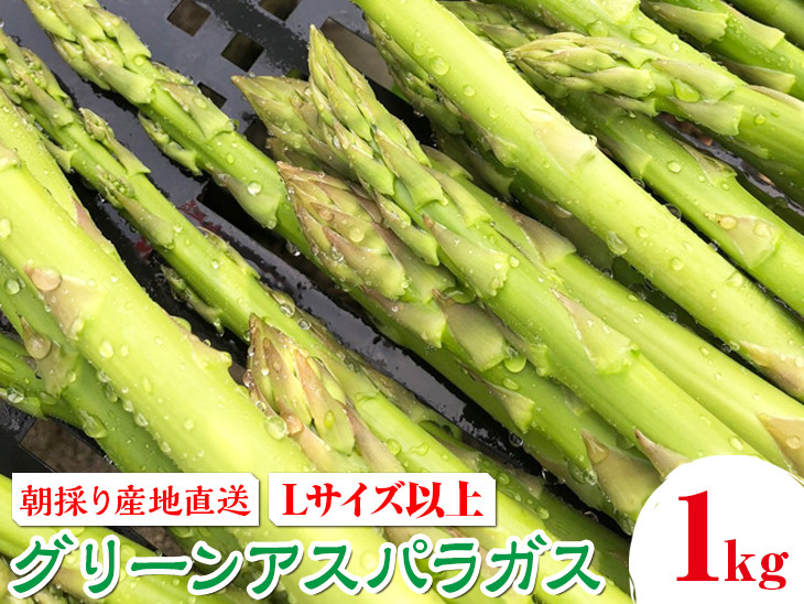 
                  朝採り産地直送グリーンアスパラガス（Lサイズ以上　約1kg）｜ 野菜 有機 高根沢
                