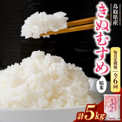 ふるさと納税 智頭町 【毎月定期便】【食味鑑定士厳選】鳥取県産 きぬむすめ5kg(5kg×1袋) 精米全6回