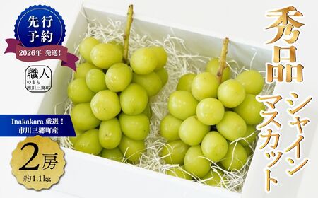 シャインマスカット 【2026年発送】秀品 山梨 2房 (約1.1kg) ぶどう 葡萄 山梨県 フルーツ 果物 くだもの ギフト 産地直送 人気 Inakakara厳選 [5839-1978]