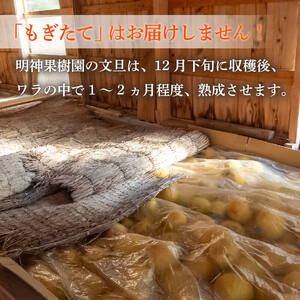 浦ノ内特産 土佐文旦 10kg 優品 2L ･ 3L 混合 | みかん 蜜柑 柑橘 文旦 大玉 10キロ 明神果樹園 人気 ランキング 数量限定 期間限定 高知県 須崎市 MKJ006_x