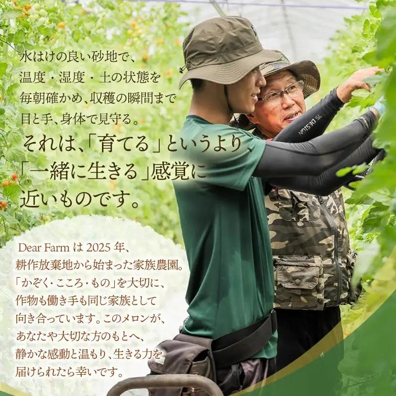 【令和8年産先行予約】　DearFarm砂丘からの贈物　＜珠玉アンデスメロン＞　約5kg（3～5玉）山形県鶴岡市　K-836　| メロン めろん アンデスメロン 5キロ 山形 鶴岡 庄内 庄内産 東北