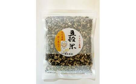 相良村産 ヘルシー五穀米 250g 国産 五穀米 健康 熊本県 水上村 【2025年11月上旬より順次発送開始】