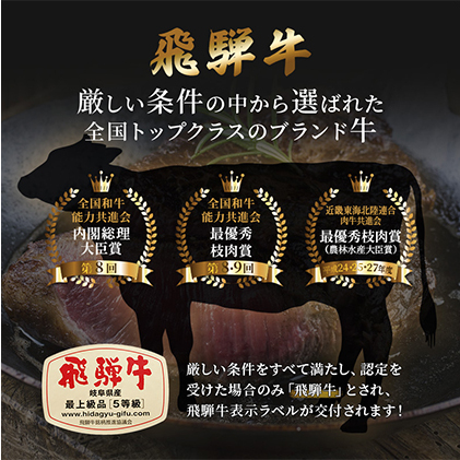 ふるさと納税　飛騨牛 もも肉 赤身 焼肉 500g A5 和牛 牛肉 お肉 モモ モモ肉 焼肉用 バーベキュー BBQ_イメージ5