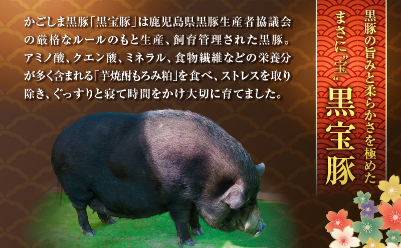 黒宝豚＆茶ぶり　どん薩摩の黄金だししゃぶしゃぶセット(4人前)　K227-005_01