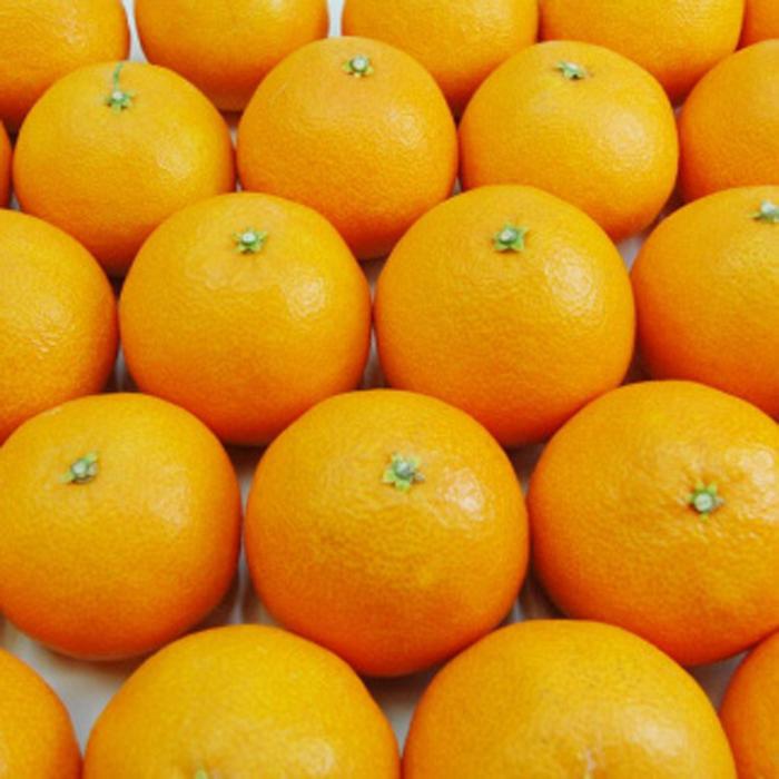 【ふるさと納税】 訳あり みかん 愛果28号 約4kg ミカン mikan 愛媛果試第28号 紅まどんな 紅マドンナ と同品種 まどんな 愛媛県 松山市