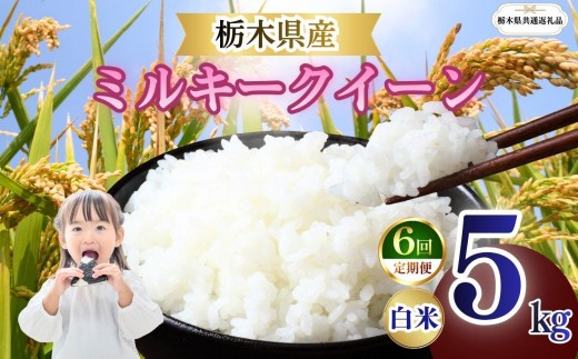 
                  【定期便3回】栃木県産 ミルキークイーン 白米 5kg 2026年 先行予約 | 栃木県 矢板市
                