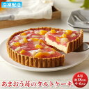 【ふるさと納税】ケーキ あまおう苺のタルトケーキ 6号 約18cm 4～6人分　【 お菓子 焼菓子 洋菓子 いちごタルト 彩り鮮やか 記念日 お祝い 誕生日 イベント ホールケーキ フルーツタルト フルーツケーキ 】