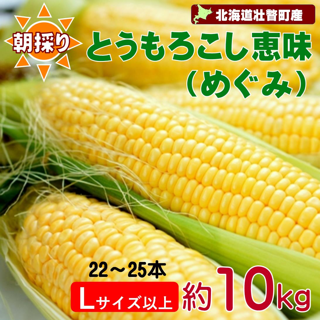 【ふるさと納税】＜2025年8月下旬よりお届け＞【朝採り】北海道壮瞥町産　とうもろこし恵味（めぐみ）Lサイズ以上約10kg（22～25本）【 ふるさと納税 人気 とうもろこし 恵味 めぐみ コーン 朝採り スープ 野菜 旬 甘い 新鮮 北海道産 北海道 壮瞥町 送料無料 】 SBTL013