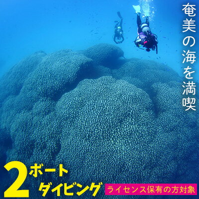 【ふるさと納税】奄美の海を満喫　2ボートダイビング【ライセンス保有の方対象】 鹿児島県 奄美群島 奄美大島 龍郷町 ふるさと納税 ダイビング ファンダイビング 2ボート Cカード保有者向け マリンスポーツ アウトドア 体験 レジャー 南国 海 サンゴ ウミガメ 熱帯魚